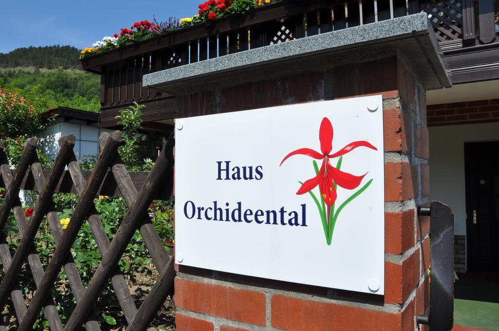 Hotel Haus Orchideental יינה מראה חיצוני תמונה