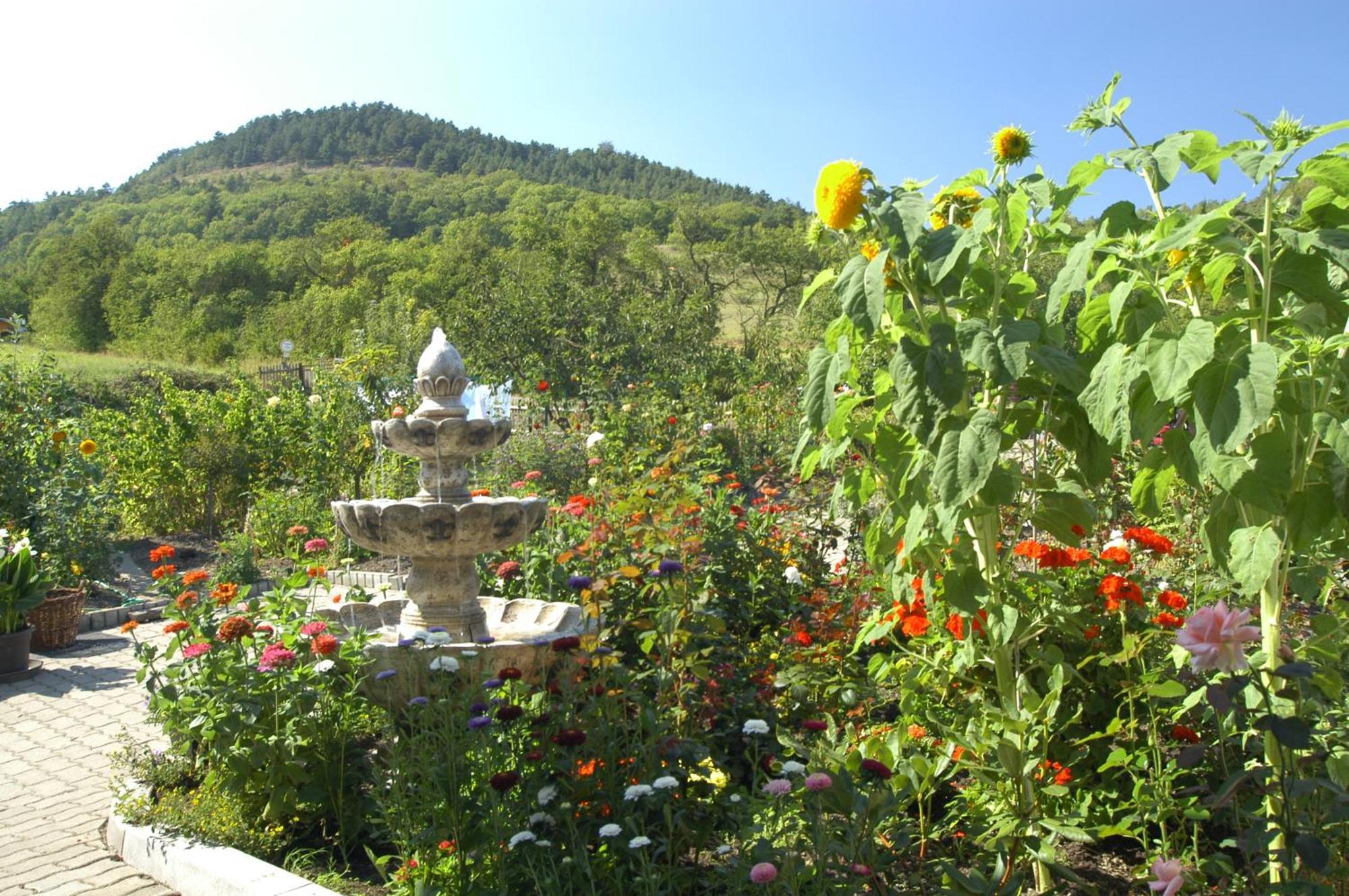 Hotel Haus Orchideental יינה מראה חיצוני תמונה